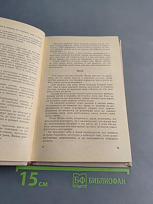 Жизнь и смерть вольного стрелка