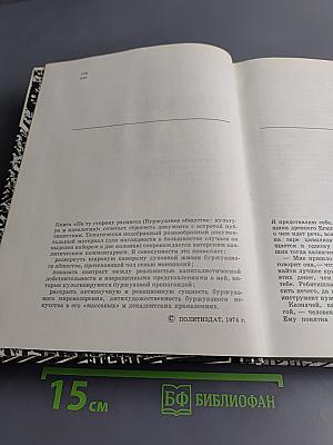 По ту сторону расцвета. Буржуазное общество: культура и идеология