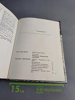 По ту сторону расцвета. Буржуазное общество: культура и идеология