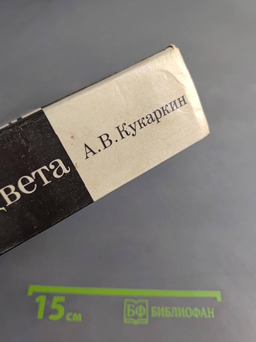 По ту сторону расцвета. Буржуазное общество: культура и идеология