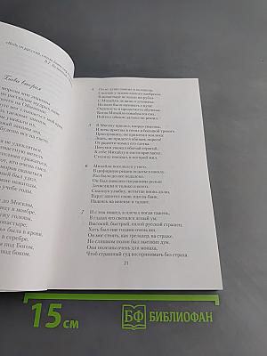 Михаило Ломоносов. Роман в стихах