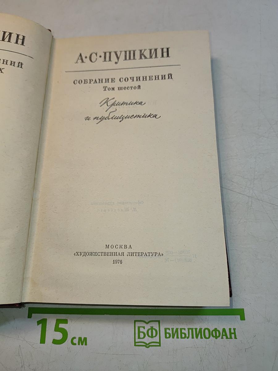 Собрание сочинений. Том шестой. Критика и публицистика
