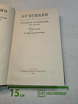Собрание сочинений. Том шестой. Критика и публицистика