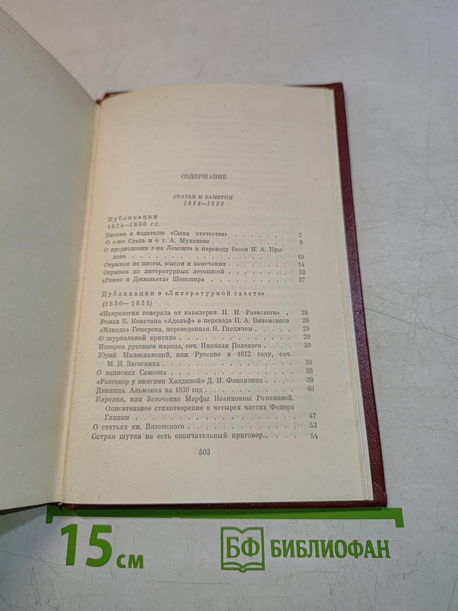 Собрание сочинений. Том шестой. Критика и публицистика