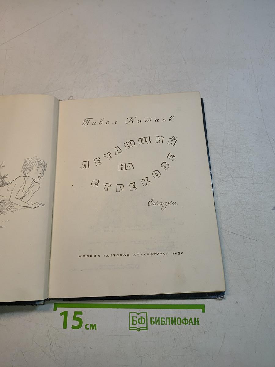 Летающий на стрекозе