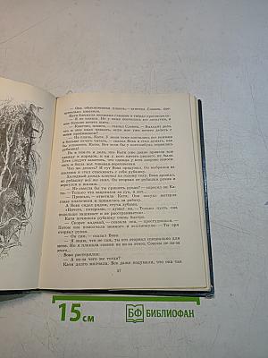 Летающий на стрекозе