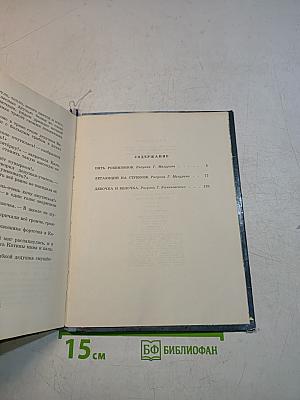 Летающий на стрекозе