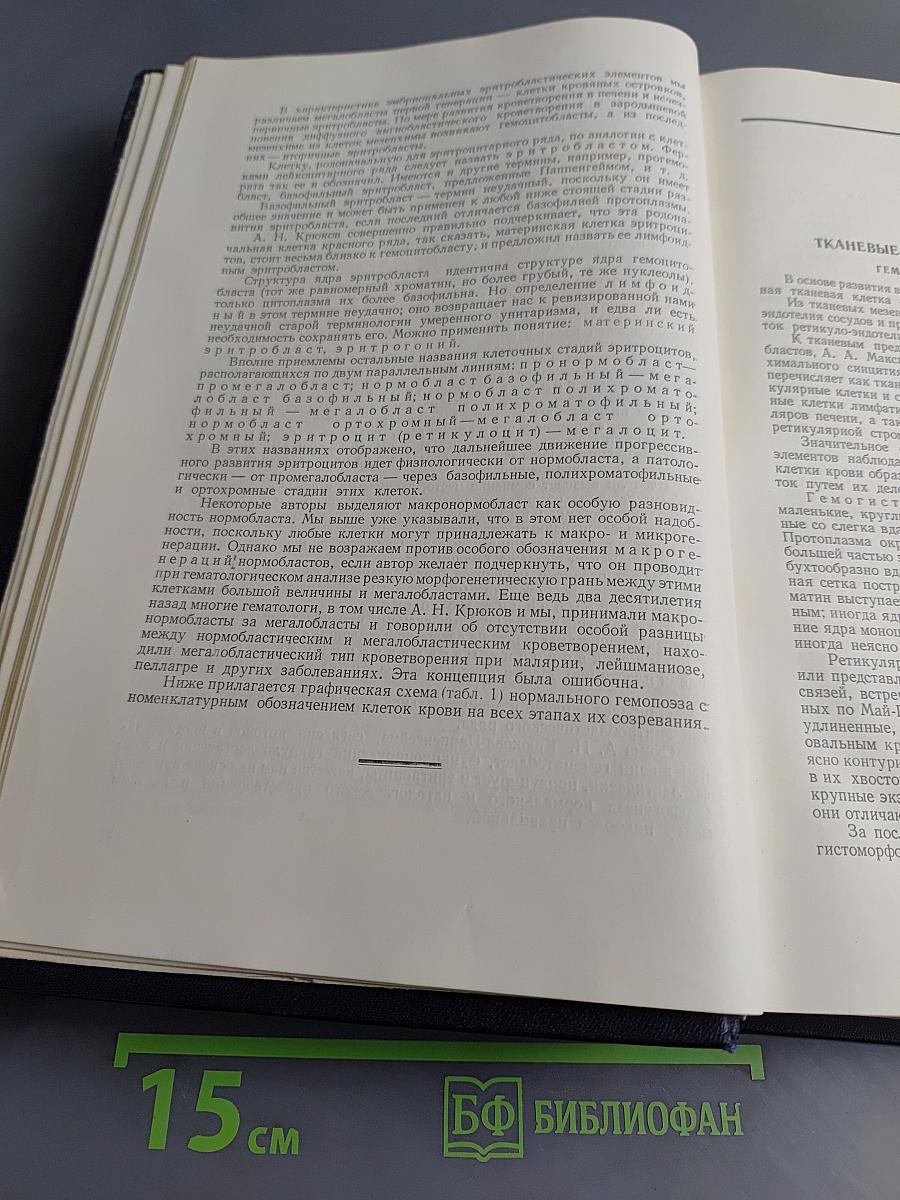 Клиническая гематология