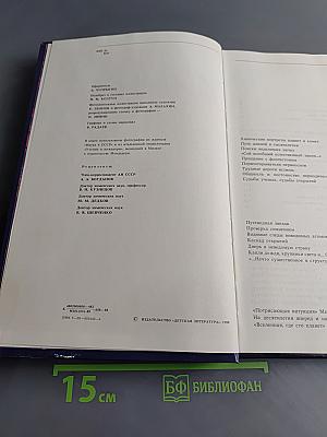 Мир химии