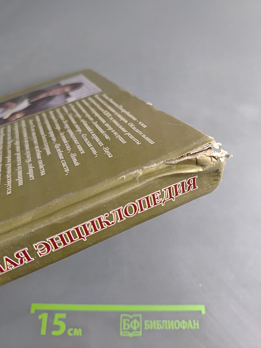 Большая кулинарная энциклопедия. Путь к сердцу мужчины