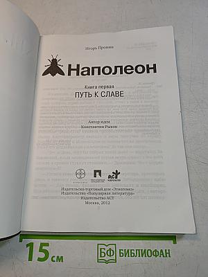 Наполеон. Книга первая. Путь к славе