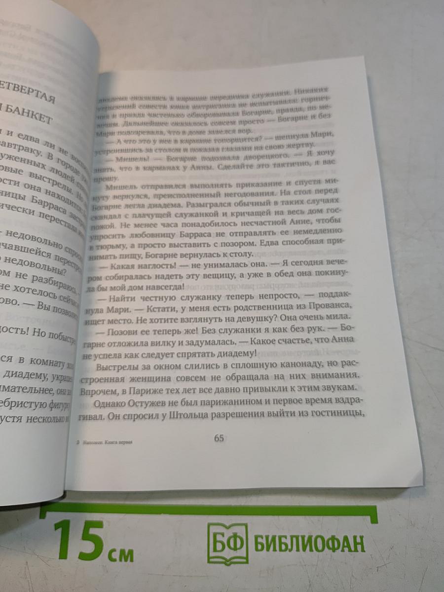 Наполеон. Книга первая. Путь к славе