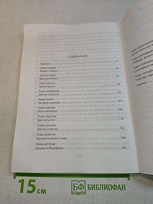 Наполеон. Книга первая. Путь к славе