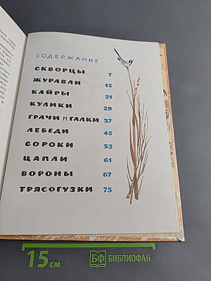 Звуки земли