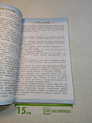 Литературное чтение. 4 класс. Часть 2