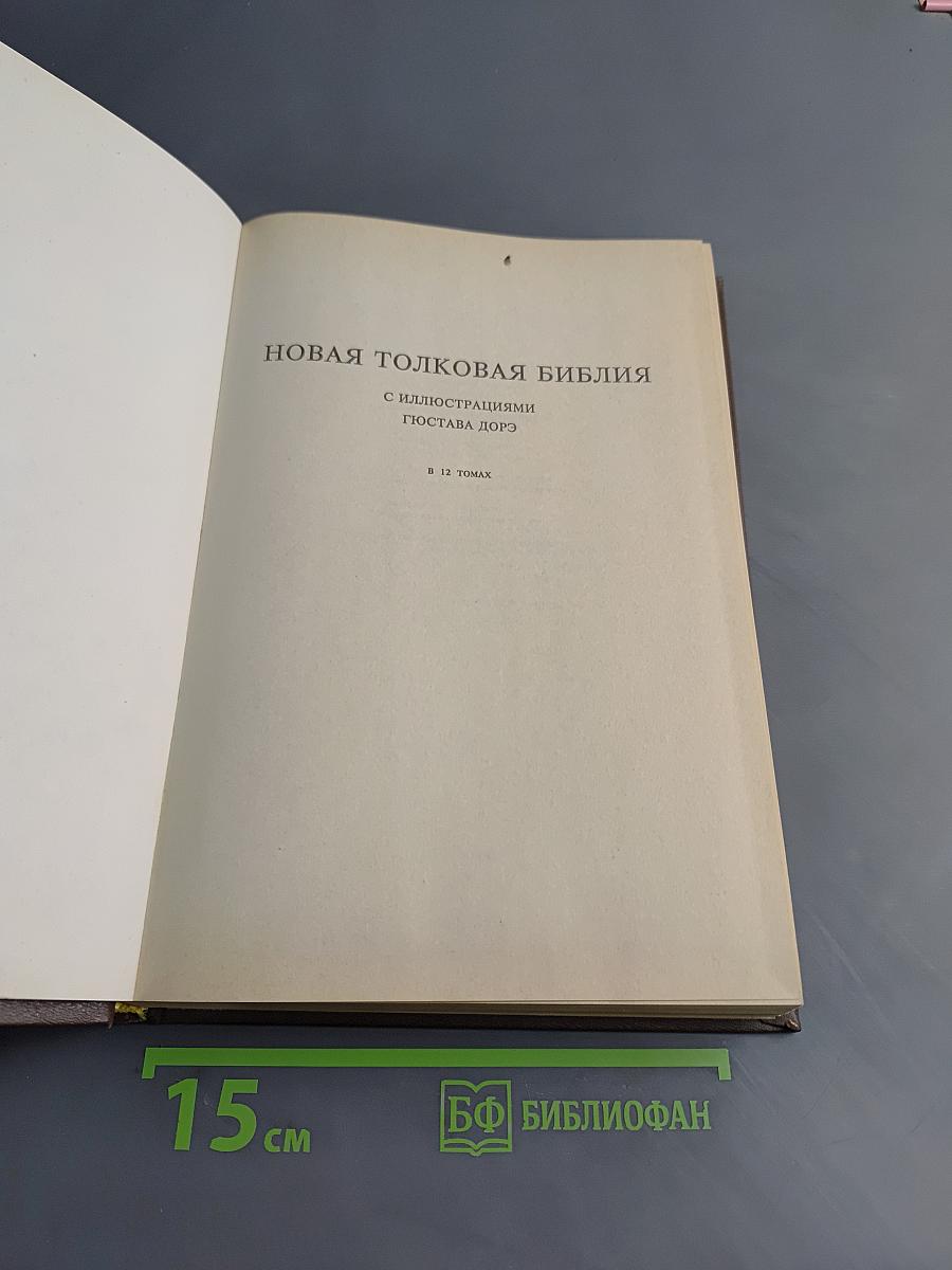 Новая толковая Библия. В 12 томах. Том 1