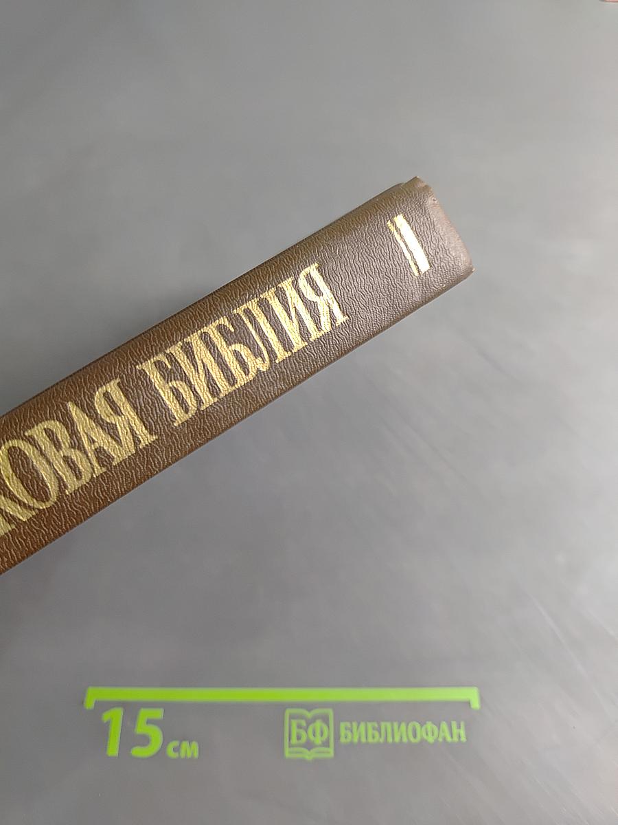 Новая толковая Библия. В 12 томах. Том 1