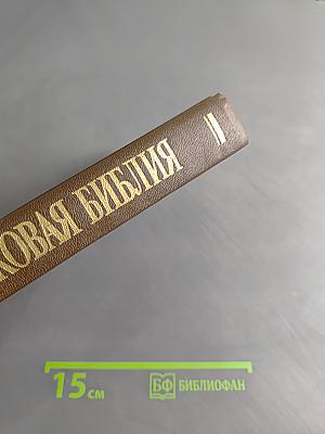 Новая толковая Библия. В 12 томах. Том 1