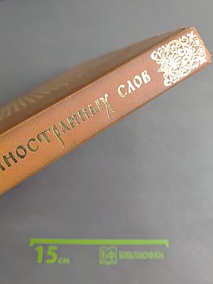 Иллюстрированный словарь иностранных слов