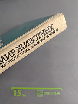 Мир животных. Насекомые, пауки, домашние животные