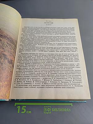 Мир животных. Насекомые, пауки, домашние животные