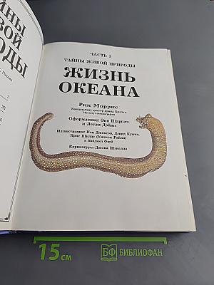 Тайны живой природы. Жизнь океана