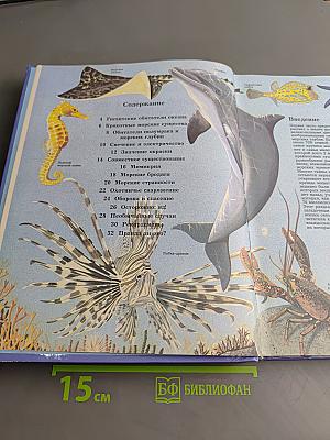 Тайны живой природы. Жизнь океана