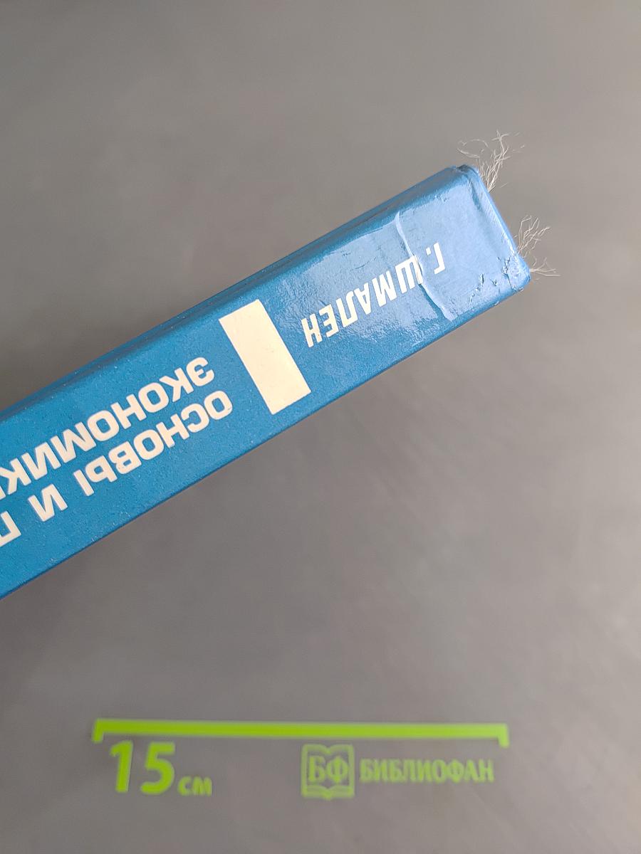 Основы и проблемы экономики предприятия