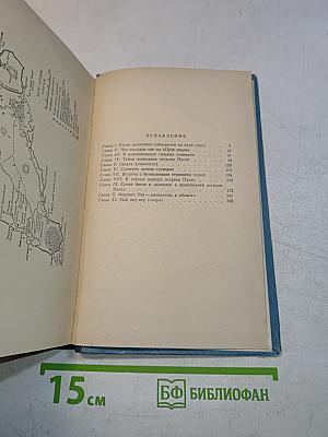 Аку-Аку. Тайна острова Пасхи