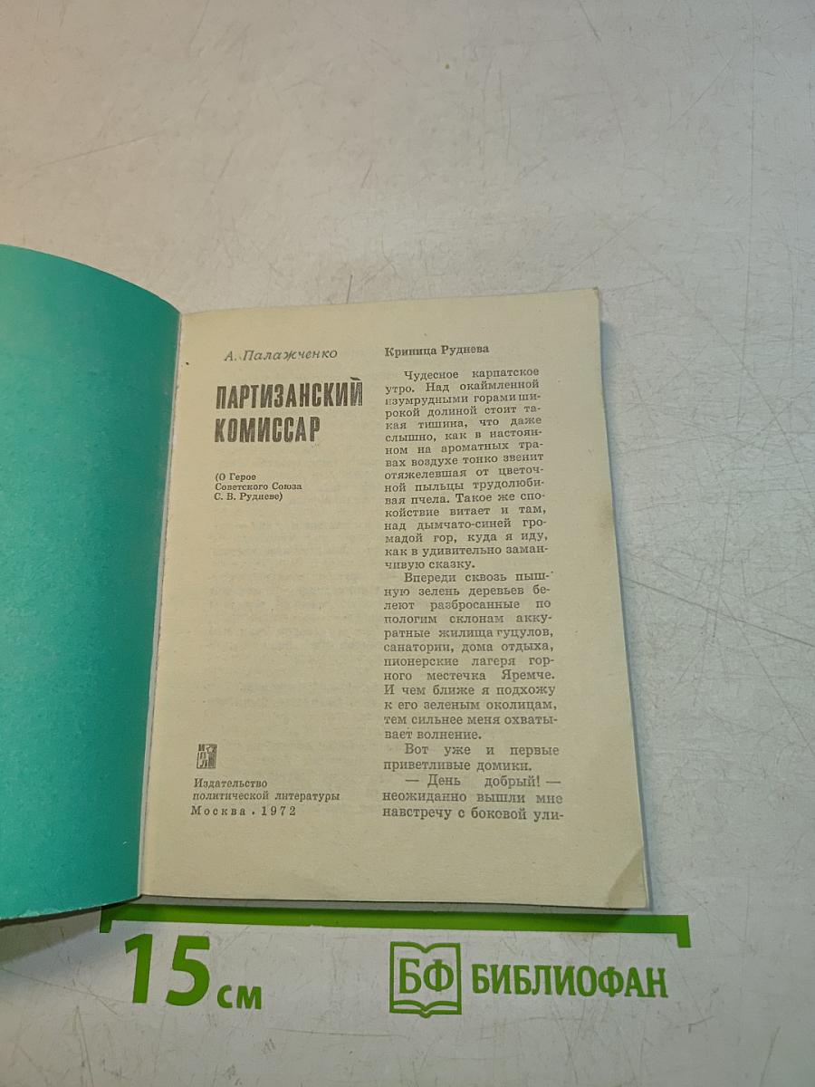 Партизанский комиссар