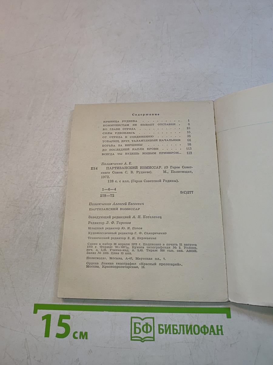 Партизанский комиссар