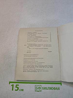 Партизанский комиссар
