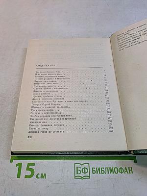 3. Зеленая Брама