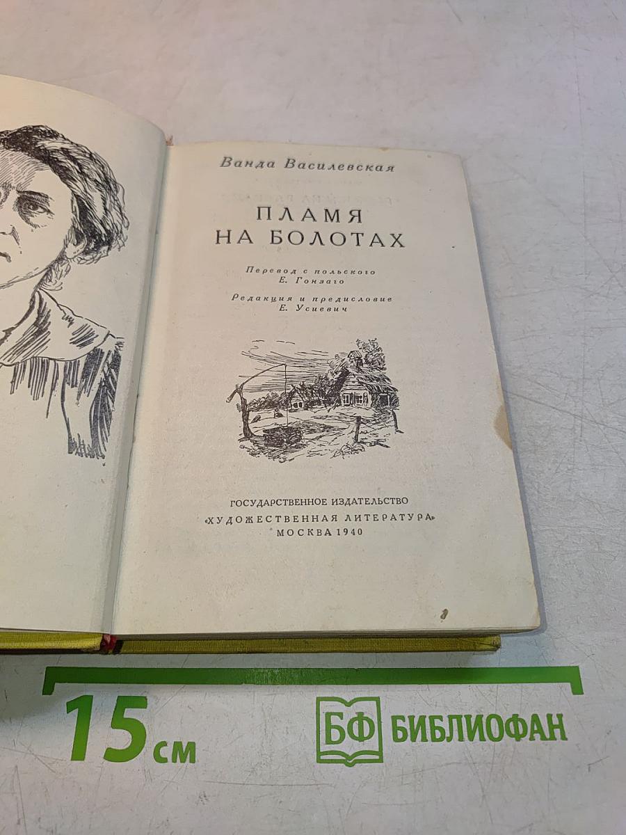 Пламя на болотах