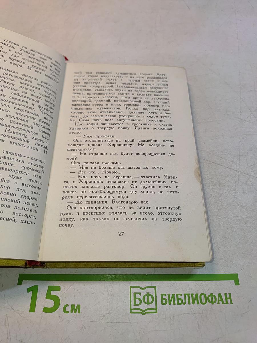 Пламя на болотах