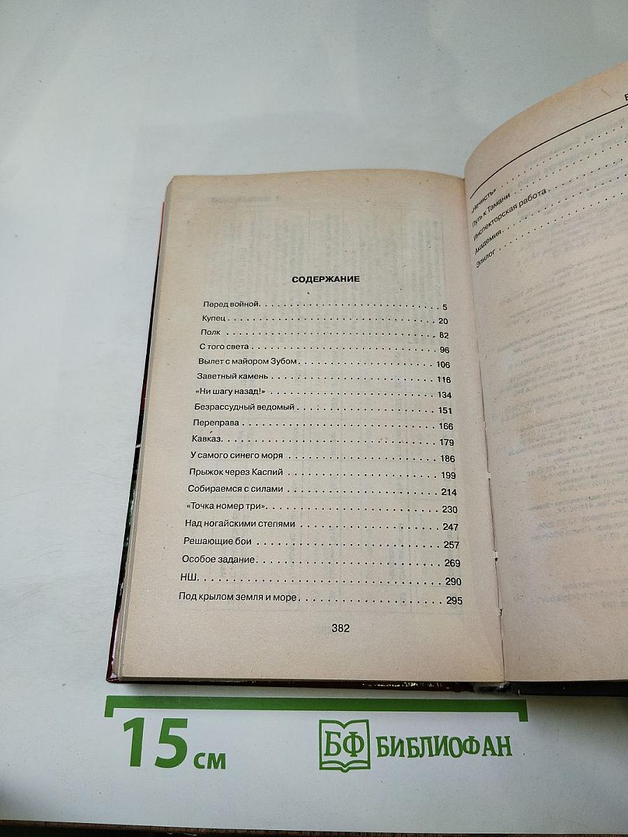 Ил-2 атакует. Огненное небо 42-го