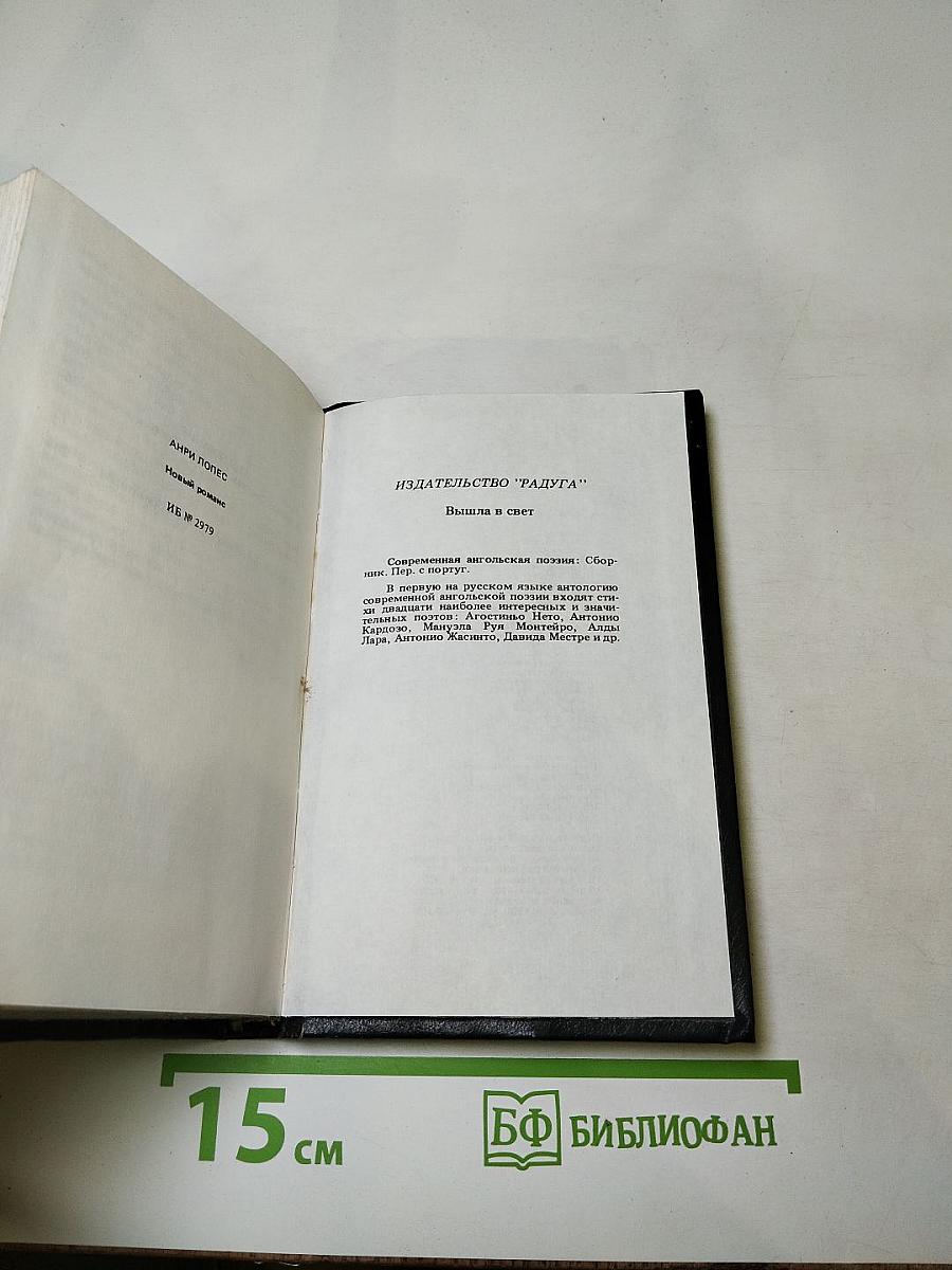 Новый роман