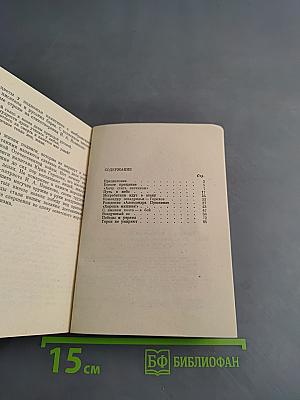 На истребителе «Александр Пушкин»