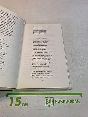 Польская поэзия XVII века