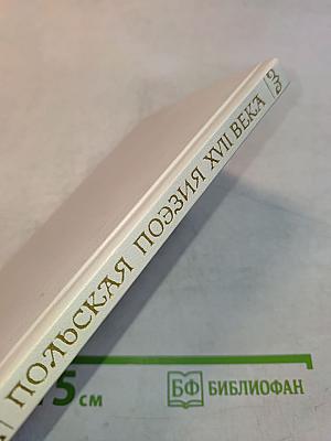 Польская поэзия XVII века