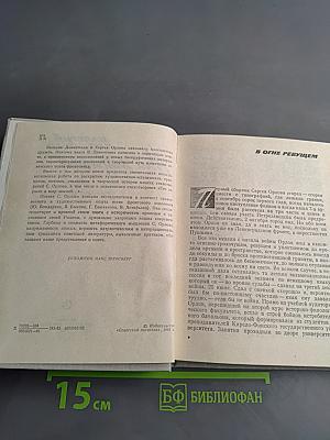 Мой лейтенант. Книга о Сергее Орлове
