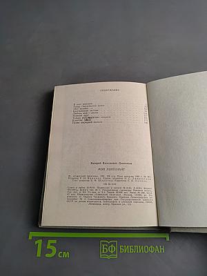 Мой лейтенант. Книга о Сергее Орлове