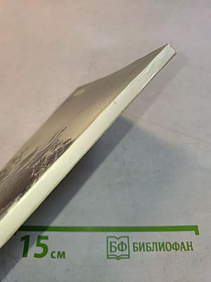 Солдат революции