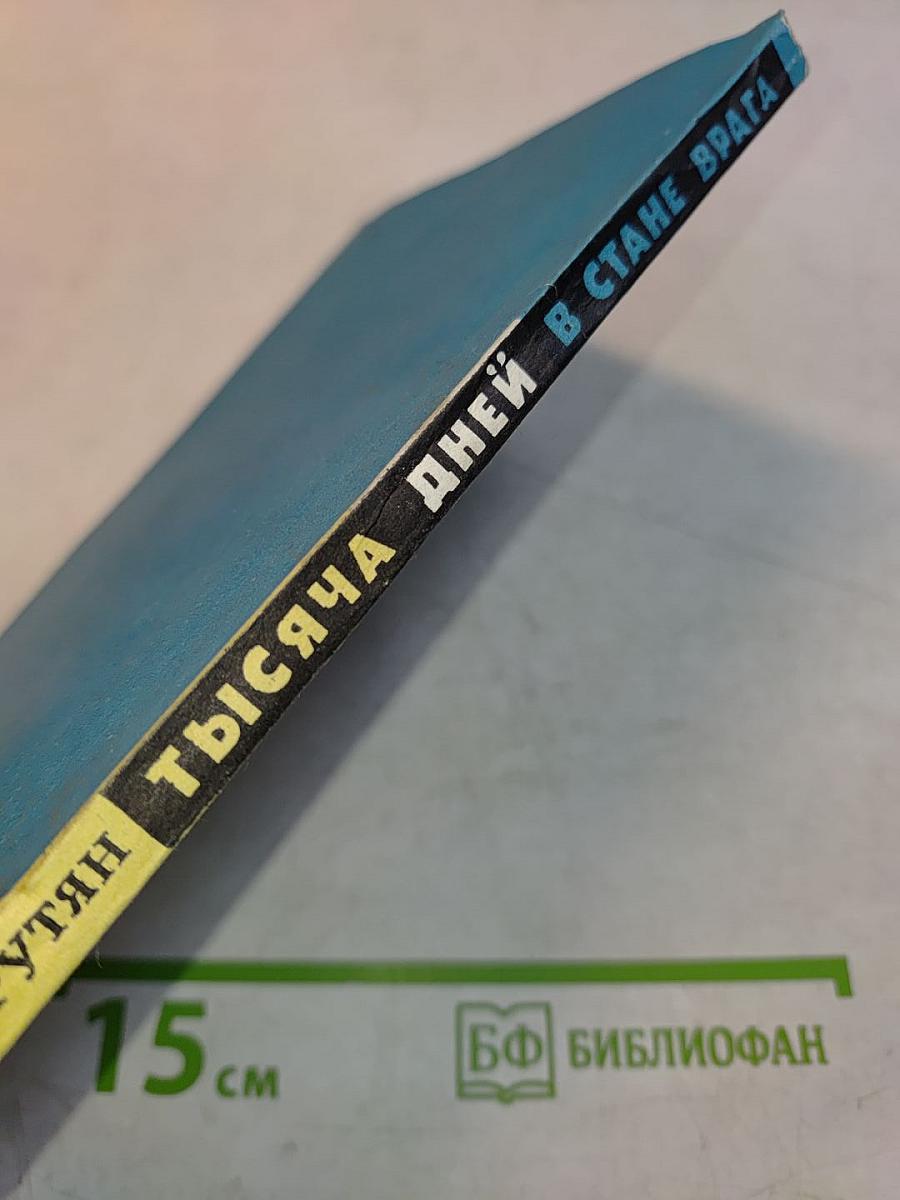 Тысяча дней в стане врага