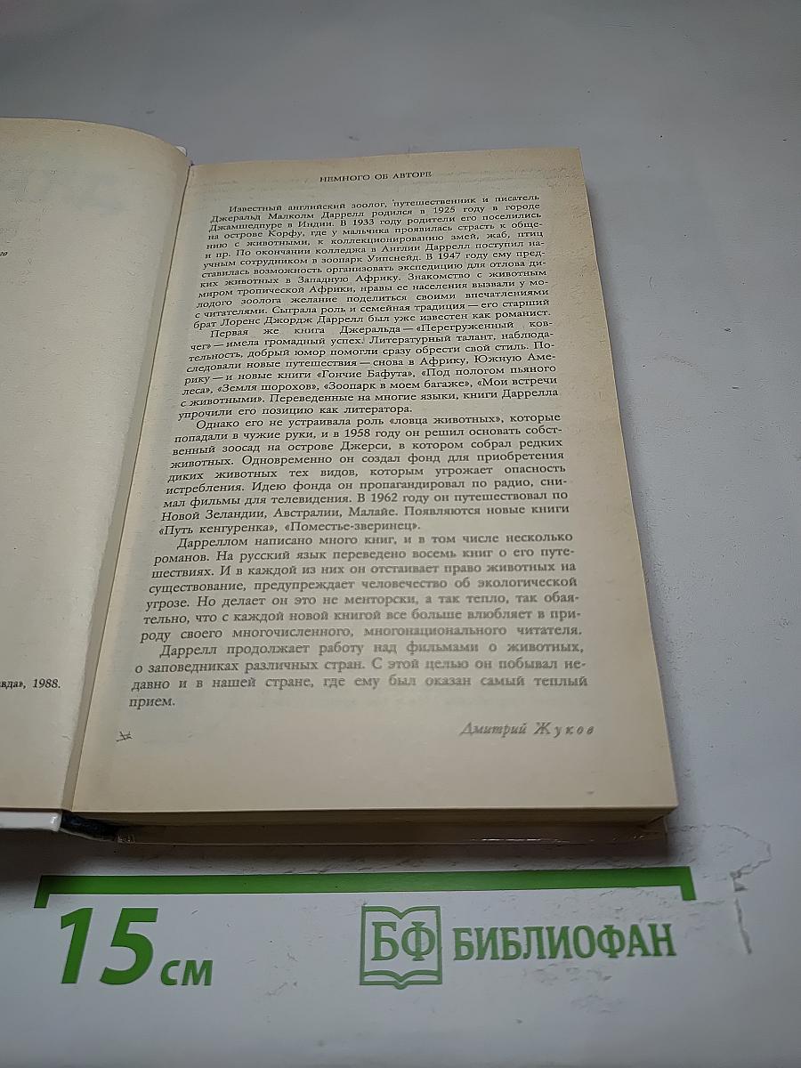 Под пологом пьяного леса