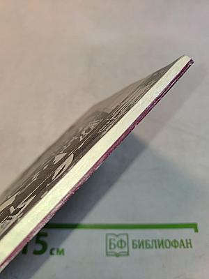 Верность долгу