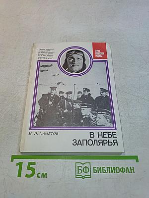 В небе Заполярья