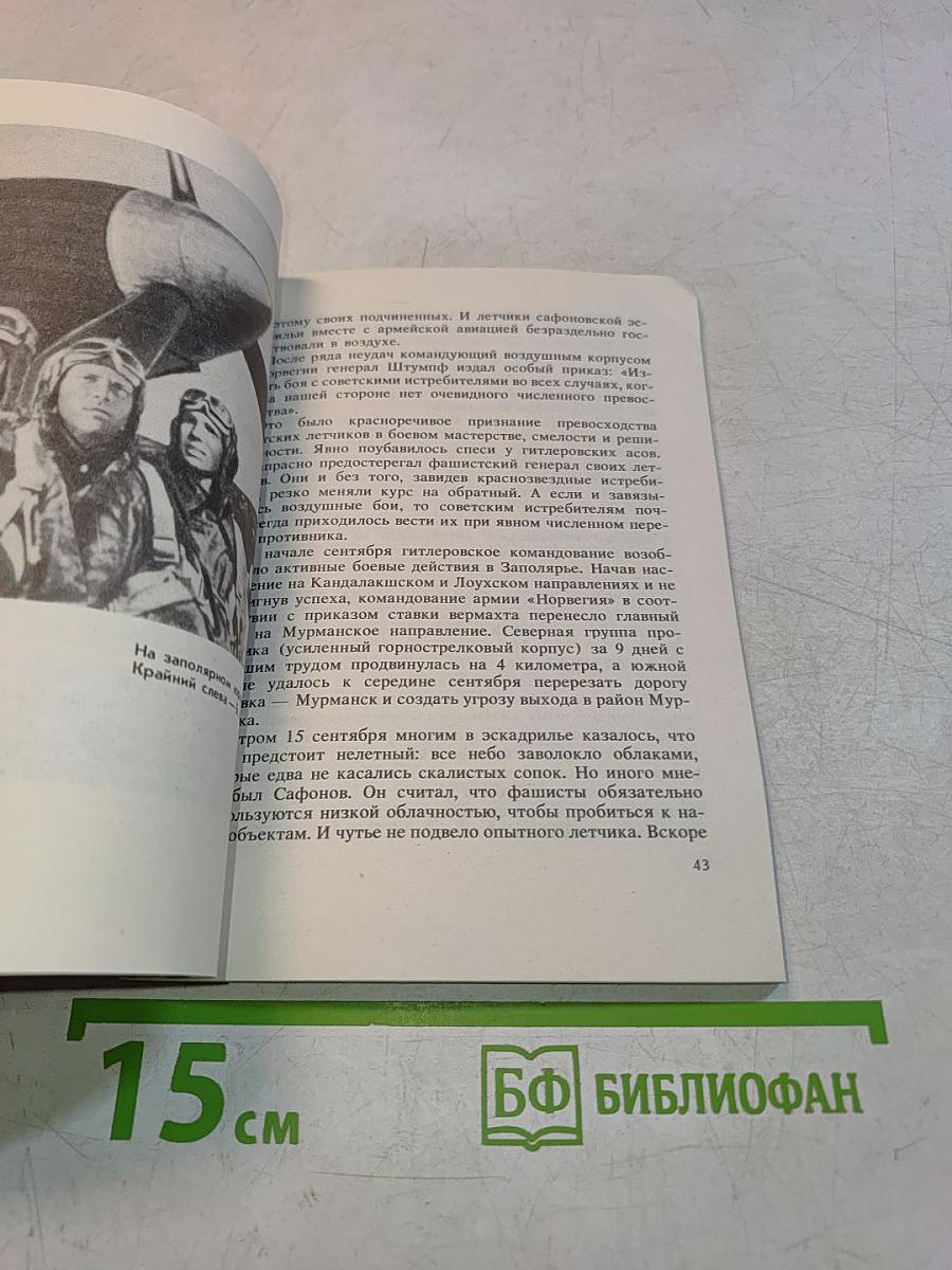 В небе Заполярья