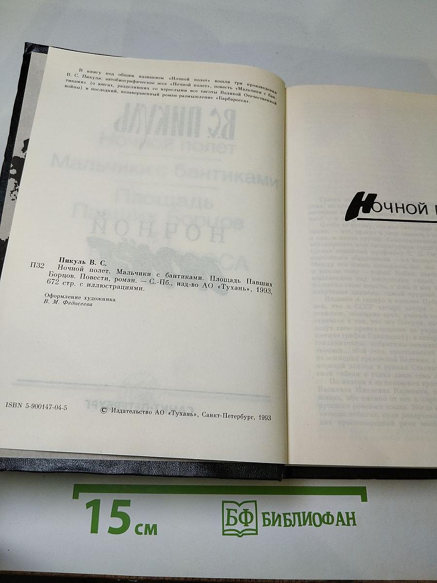 Ночной полет