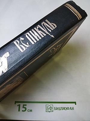 Ночной полет